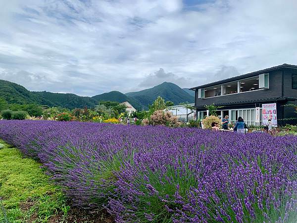 豬家四口的七天六夜日本行：Day3+Day4 - 來去山梨縣