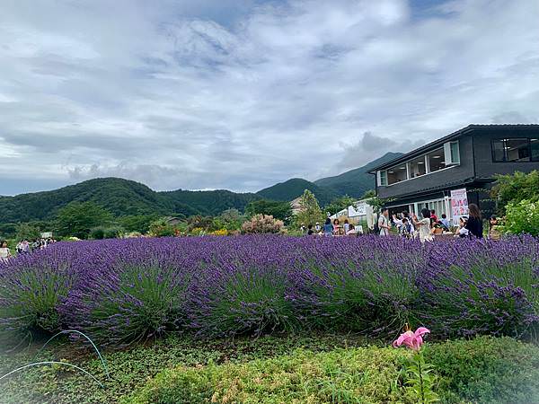 豬家四口的七天六夜日本行：Day3+Day4 - 來去山梨縣