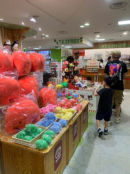 豬家四口的七天六夜日本行 : Day5~Day7:在地人的居