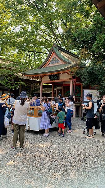 豬家四口的七天六夜日本行 : Day5~Day7:在地人的居