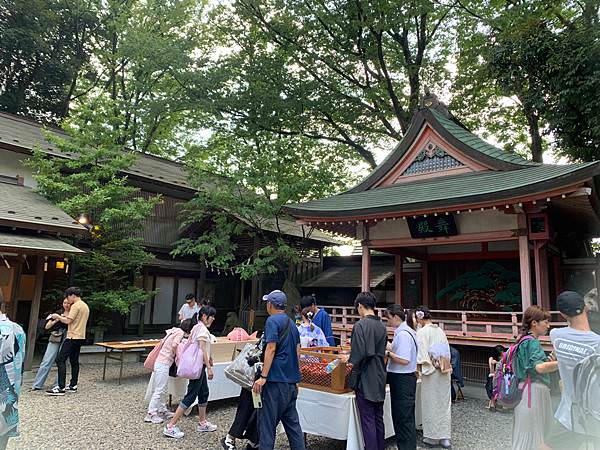 豬家四口的七天六夜日本行 : Day5~Day7:在地人的居