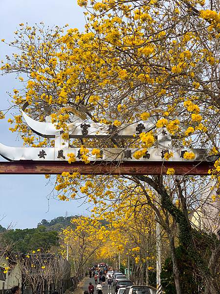 網紅打卡文旅!彰化賞花中繼站 !工業風ｘ美式風「田中文旅」推