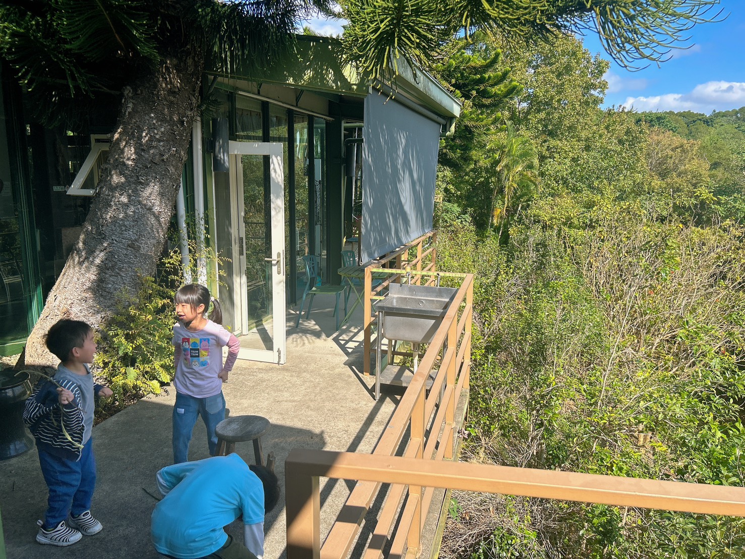 遙望山景好風光 x 景美菜也美｜五星級有機怡明茶園的創意客家與特色茶料理 by豬圈圈樂活趣