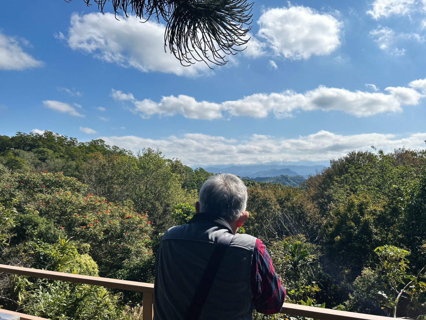 遙望山景好風光 x 景美菜也美｜五星級有機怡明茶園的創意客家與特色茶料理 by豬圈圈樂活趣
