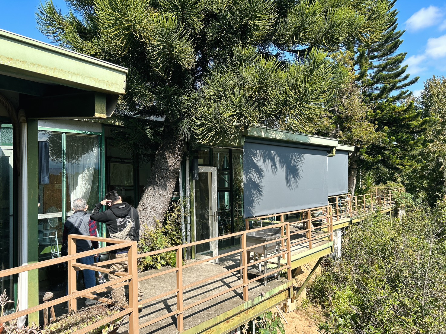 遙望山景好風光 x 景美菜也美｜五星級有機怡明茶園的創意客家與特色茶料理 by豬圈圈樂活趣