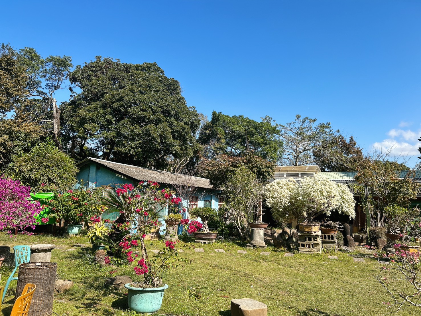 遙望山景好風光 x 景美菜也美｜五星級有機怡明茶園的創意客家與特色茶料理 by豬圈圈樂活趣