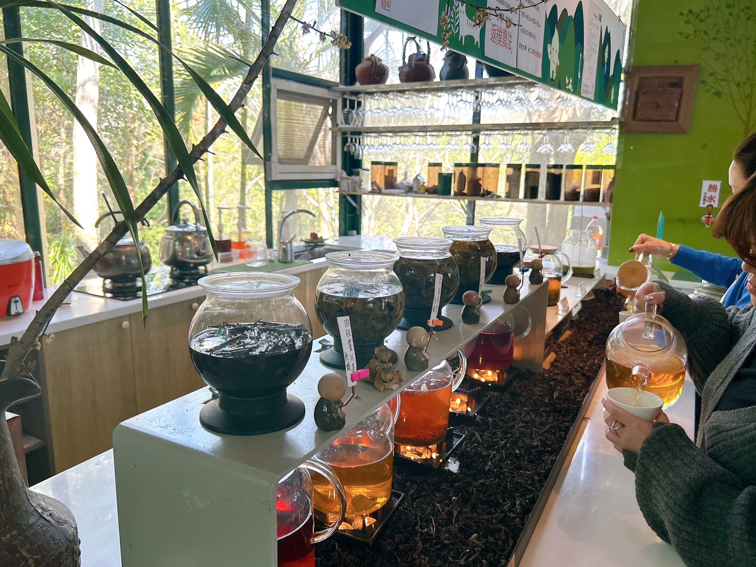 遙望山景好風光 x 景美菜也美｜五星級有機怡明茶園的創意客家與特色茶料理 by豬圈圈樂活趣